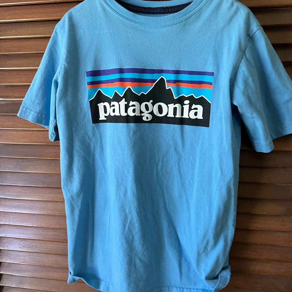 Blue Patagonia Tee